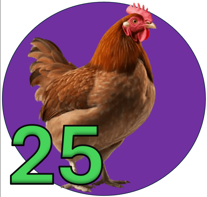 Gallina