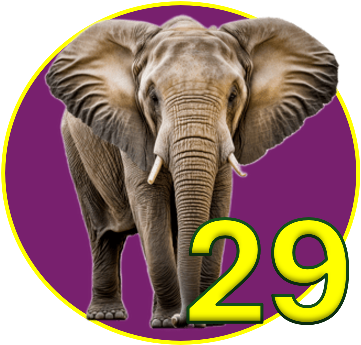 Elefante
