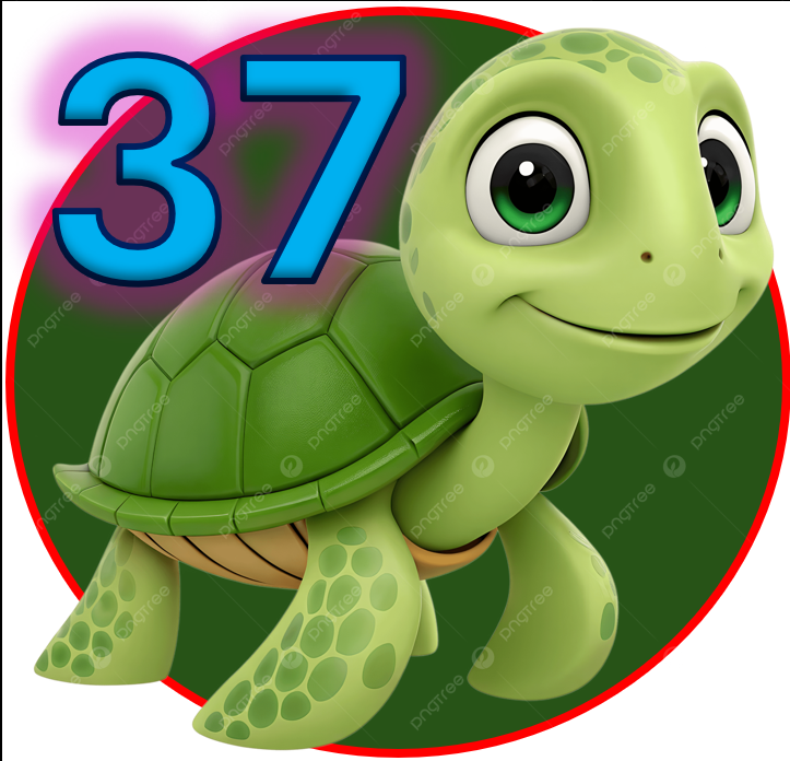 TORTUGA